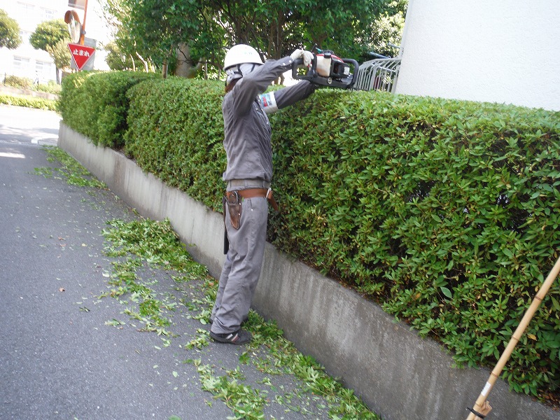 草刈り中の様子